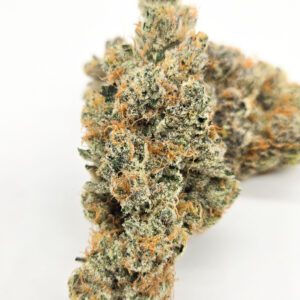 Super Boof  ( Indoor ) Hybrid