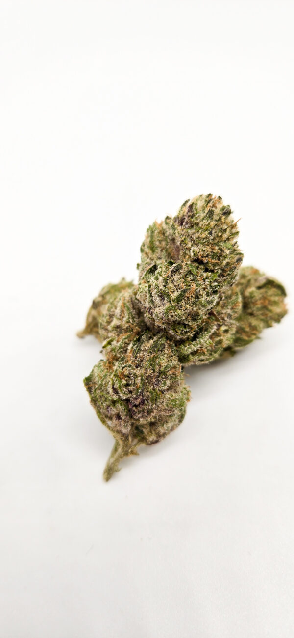 Purple Haze ( Indoor ) Sativa Hybrid - Image 2