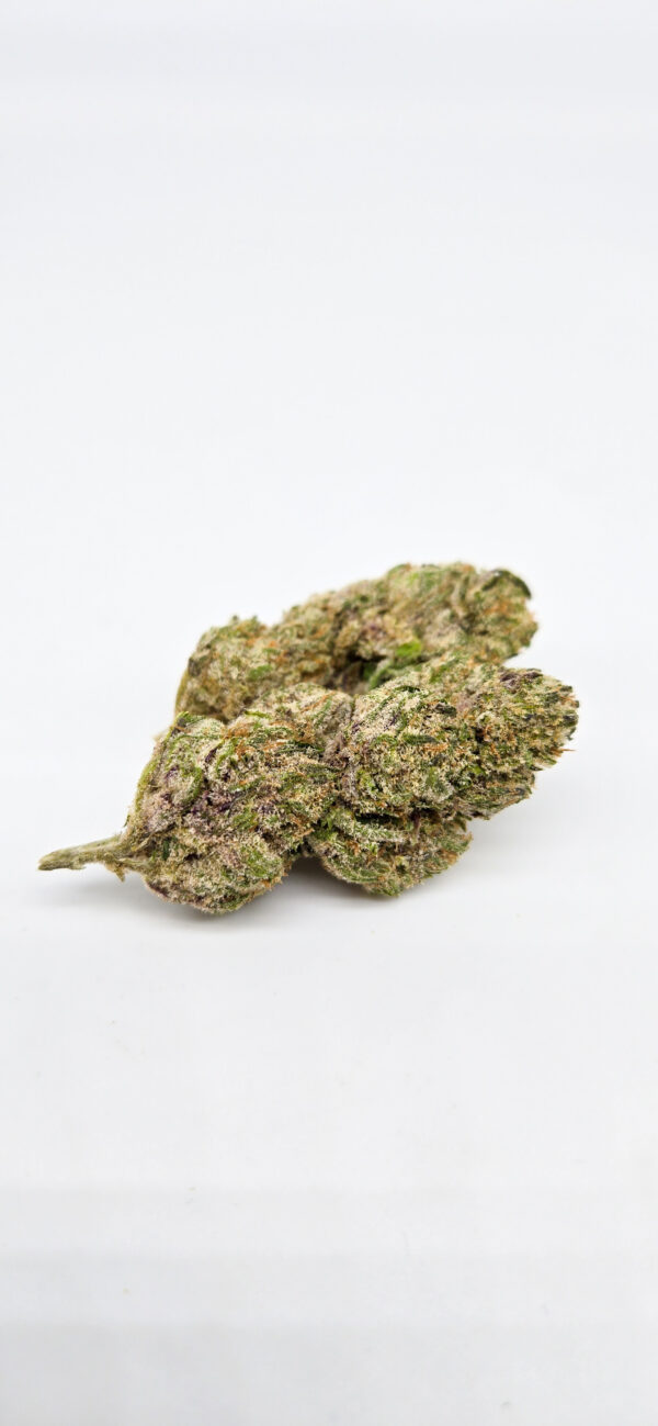 Purple Haze ( Indoor ) Sativa Hybrid - Image 4