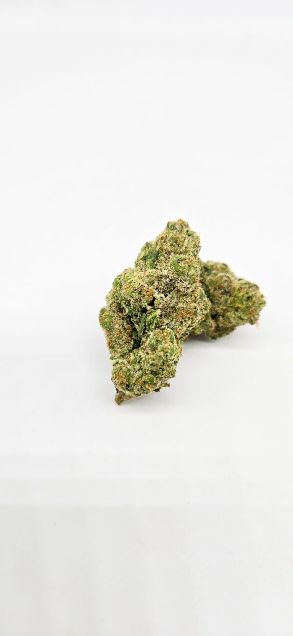 Jack Herer ( Indoor ) Sativa Hybrid