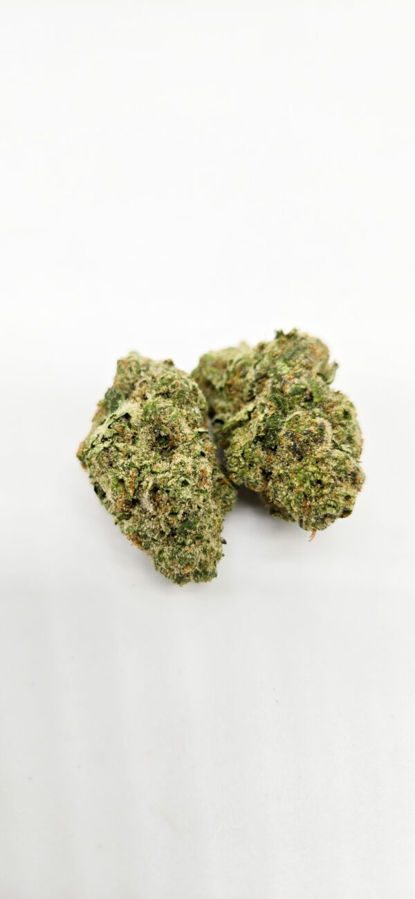 Jack Herer ( Indoor ) Sativa Hybrid - Image 3