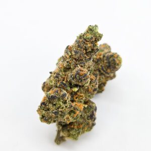 Blue Nerdz ( Indoor ) Hybrid