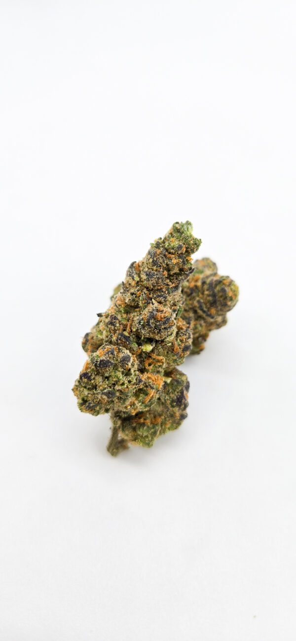 Blue Nerdz ( Indoor ) Hybrid