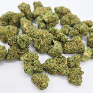 Cheetah Piss Smalls ( Indoor ) Hybrid