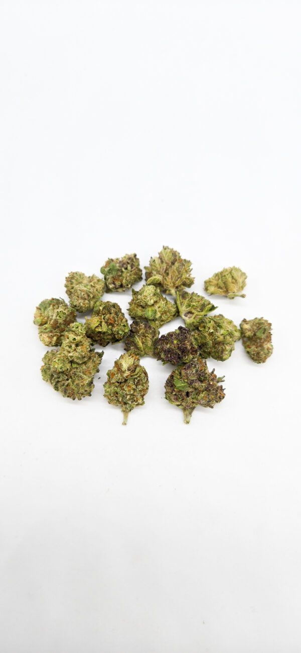 Gelonade Smalls ( Indoor ) Hybrid - Image 2