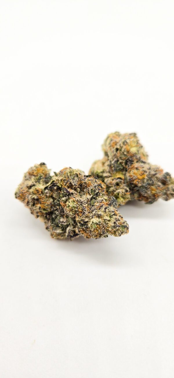 Blue Sunset Sherbert ( Indoor ) Indica Hybrid - Image 2