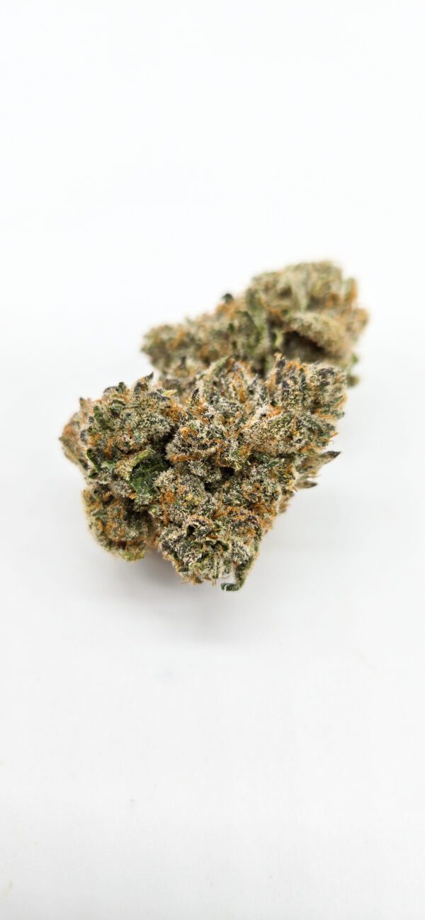 Dark Queen ( Indoor ) Hybrid - Image 3