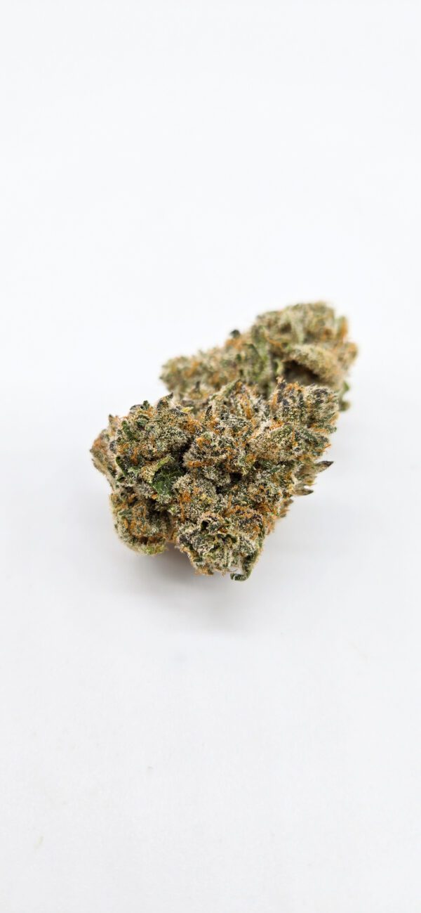 Dark Queen ( Indoor ) Hybrid - Image 2