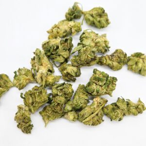 Leftover Cake Smalls ( Indoor ) Hybrid