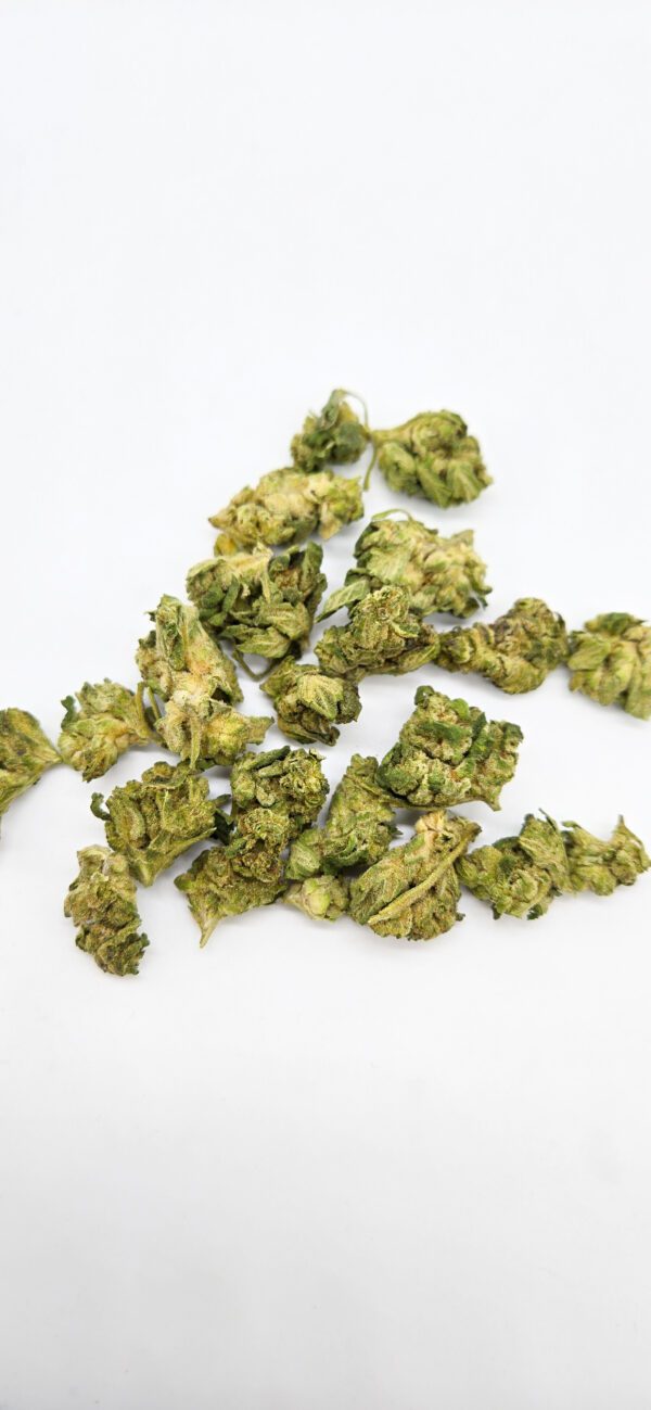 Leftover Cake Smalls ( Indoor ) Hybrid