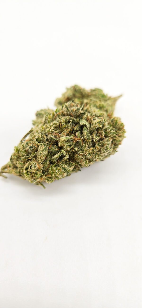 Gorilla Glue x Girl Scout Cookies ( GG4 x GSC ) ( Indoor ) Indica Hybrid - Image 2