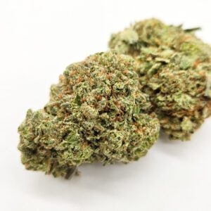 Black Biscotti ( Indoor ) Indica Hybrid