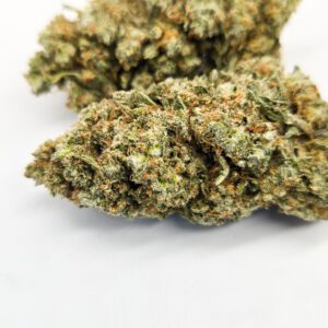 Amber Rose  ( Indoor ) Indica Hybrid