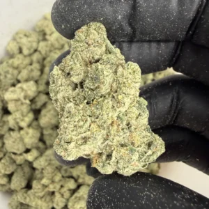 Z Topia  ( Indoor ) Indica Hybrid