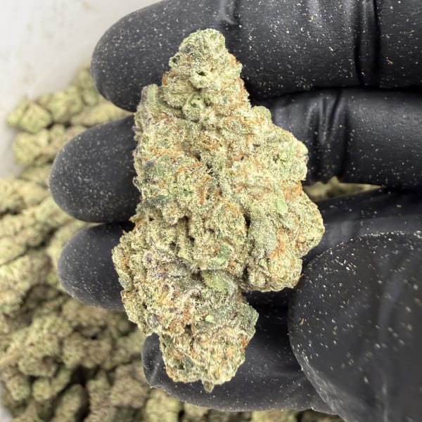 Mendo’s Breath ( Indoor ) Indica Hybrid