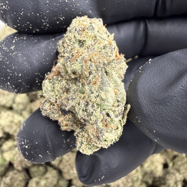 Permanent Chimera  ( Indoor ) Indica Hybrid