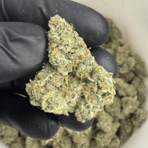 Point Break  ( Indoor ) Indica Hybrid