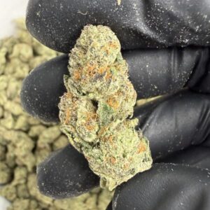 Space Garlic ( Indoor ) Indica Hybrid