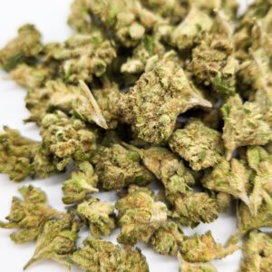 Pina Colada Smalls ( Indoor ) Hybrid