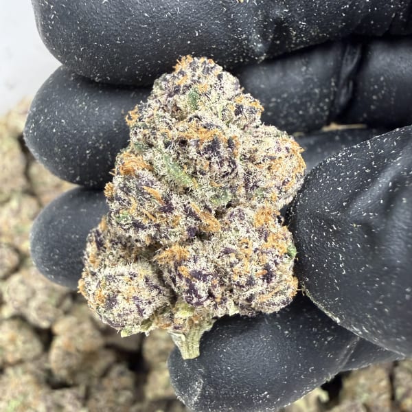 Guava Gelato  ( Indoor ) Indica Hybrid