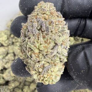 Gelato King ( Indoor ) Indica Hybrid